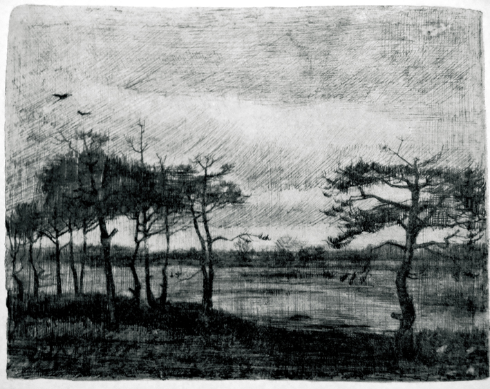  文森特·威廉·梵高  Vincent Willen Van Gogh —— 素描线稿 (1)